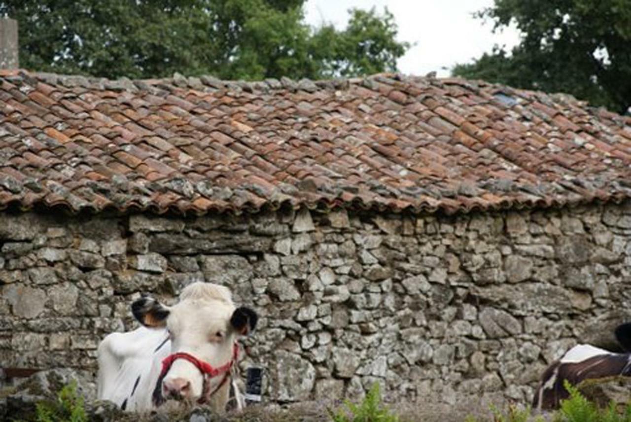 Stone Cottage Fisterra Curtis 외부 사진